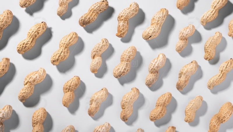 白色背景带壳花生排列图