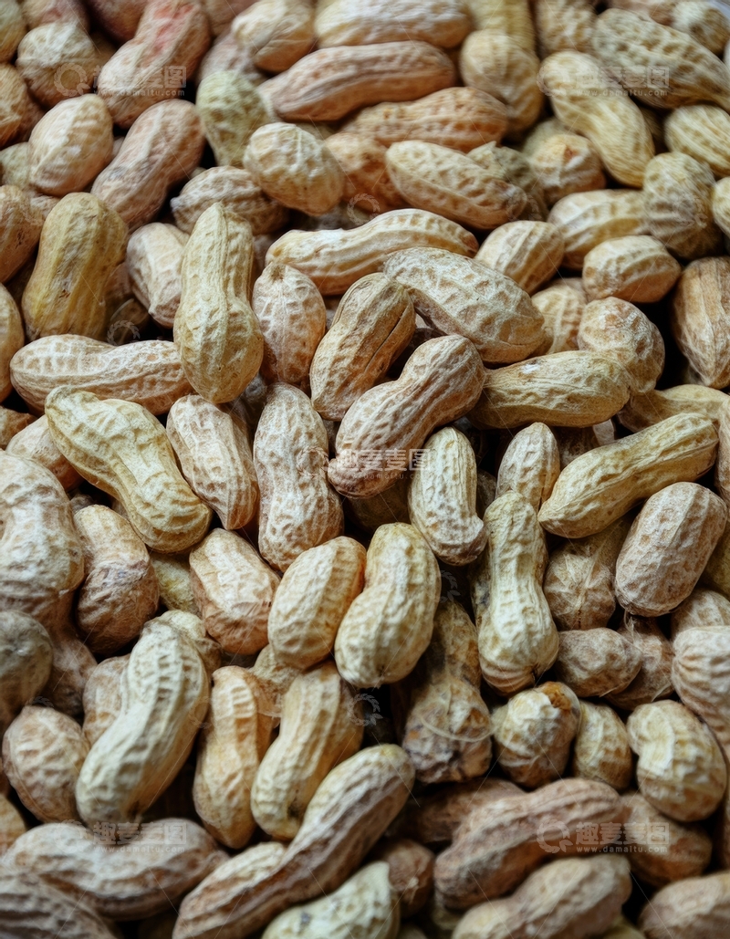 高清大图下载【趣麦麦图】大量带壳花生密集排列