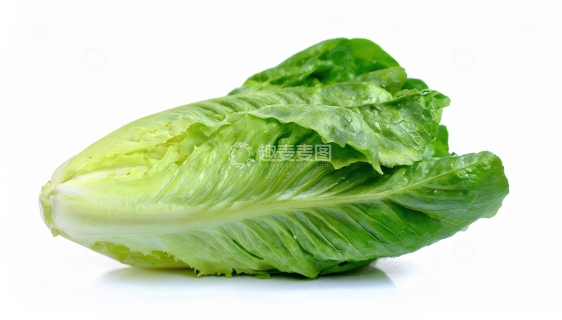 高清大图下载【趣麦麦图】单颗生菜白色背景特写