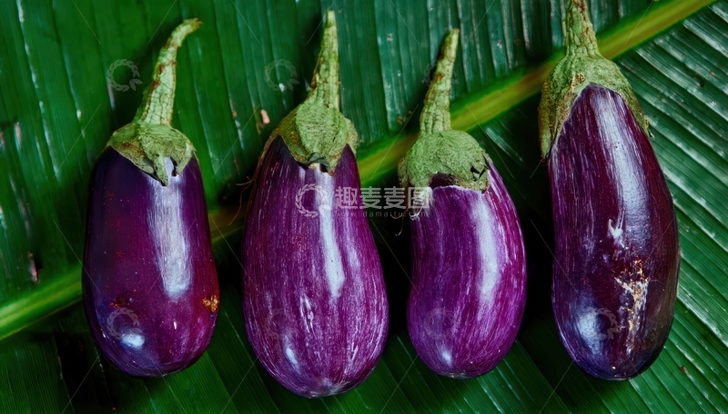 高清大图下载【趣麦麦图】绿叶衬托下的茄子