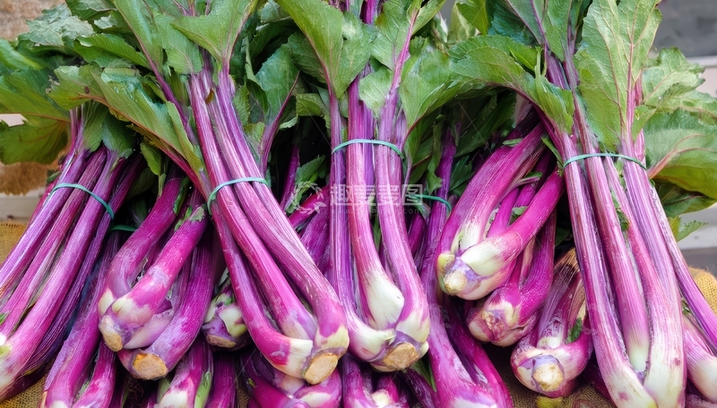 高清大图下载【趣麦麦图】捆绑的紫色菜薹2