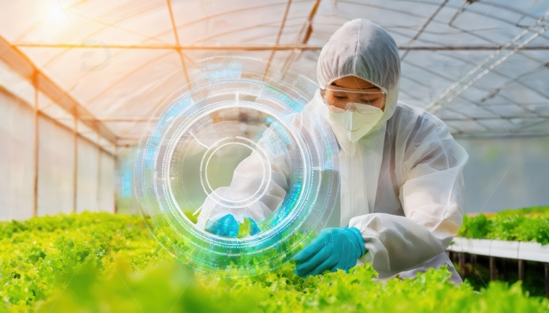 温室中作业的农业人员