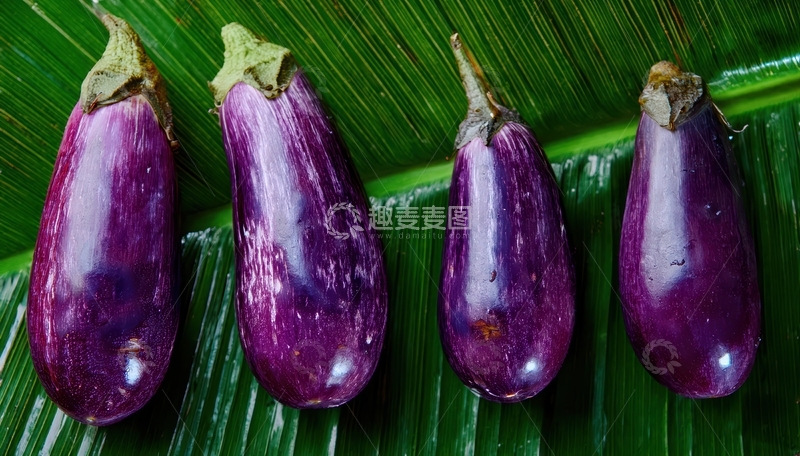 高清大图下载【趣麦麦图】绿叶上的紫色茄子