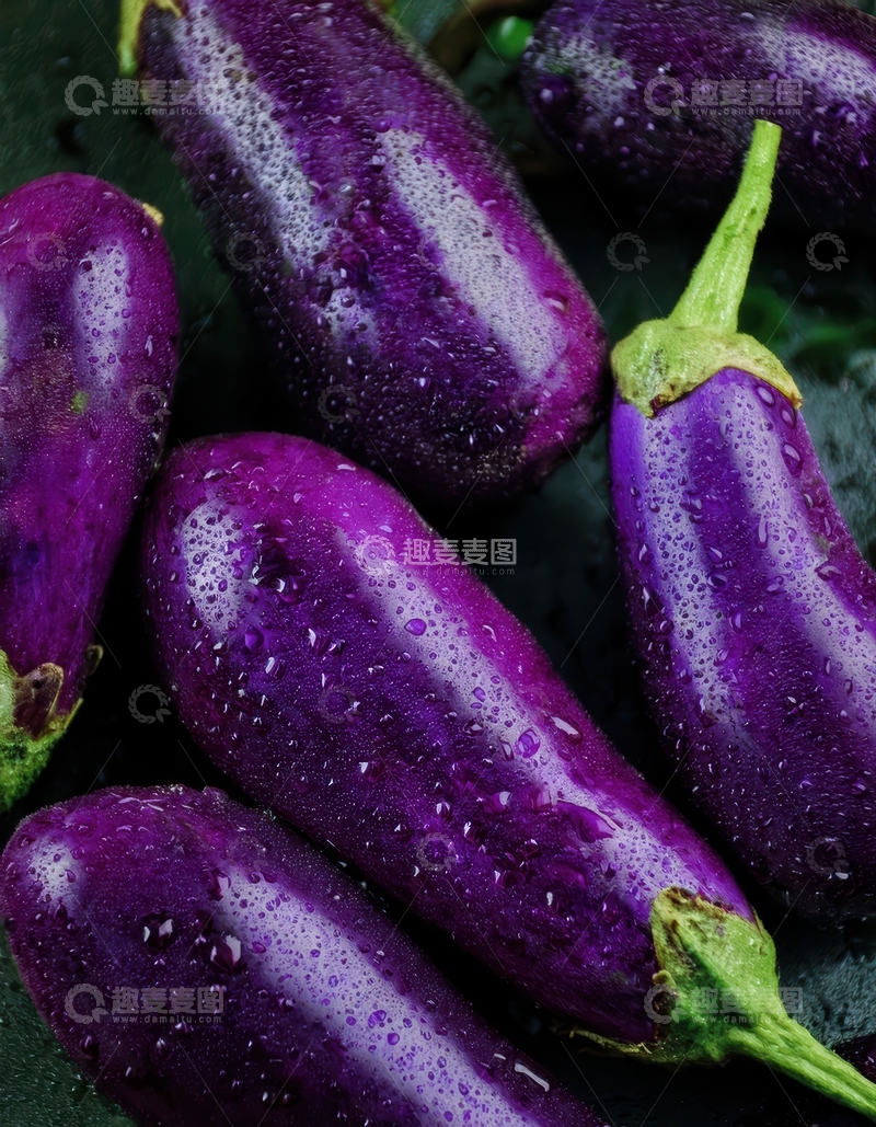 高清大图下载【趣麦麦图】深色背景的紫茄子群像