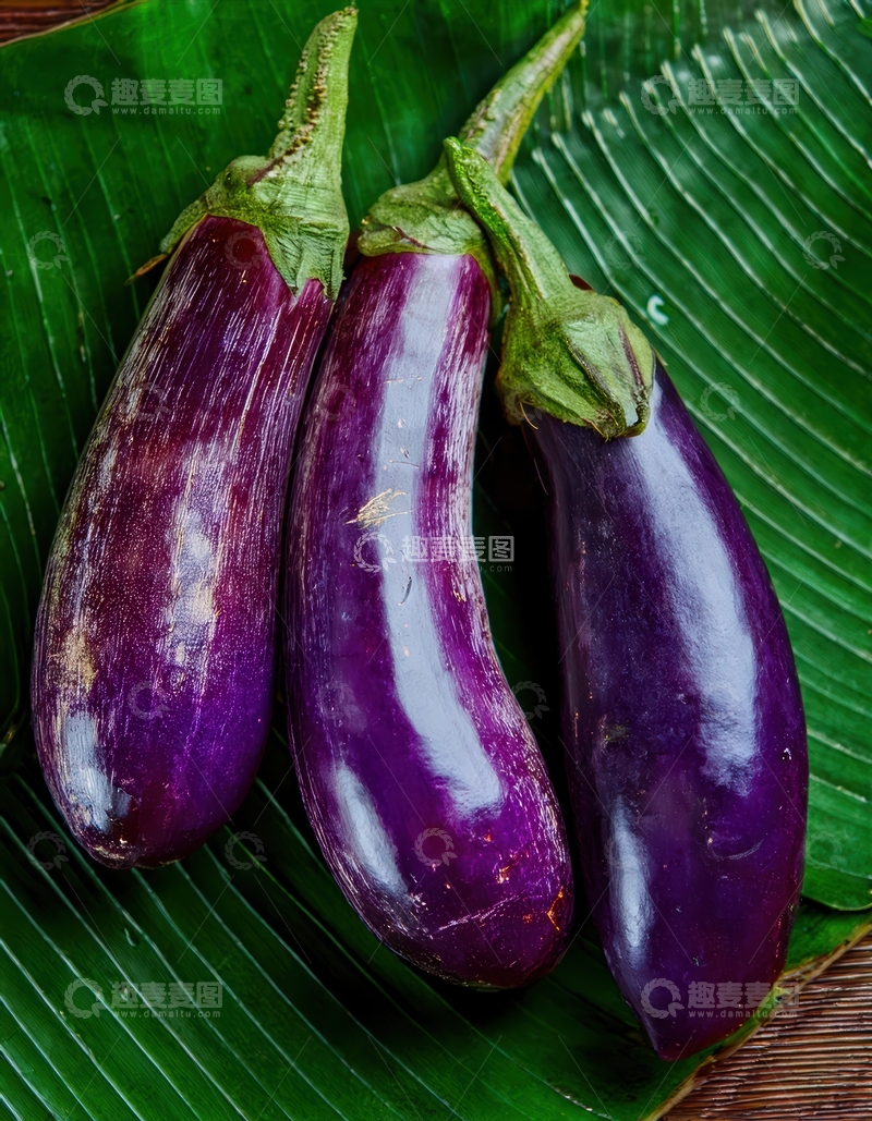 高清大图下载【趣麦麦图】绿叶上的紫茄子