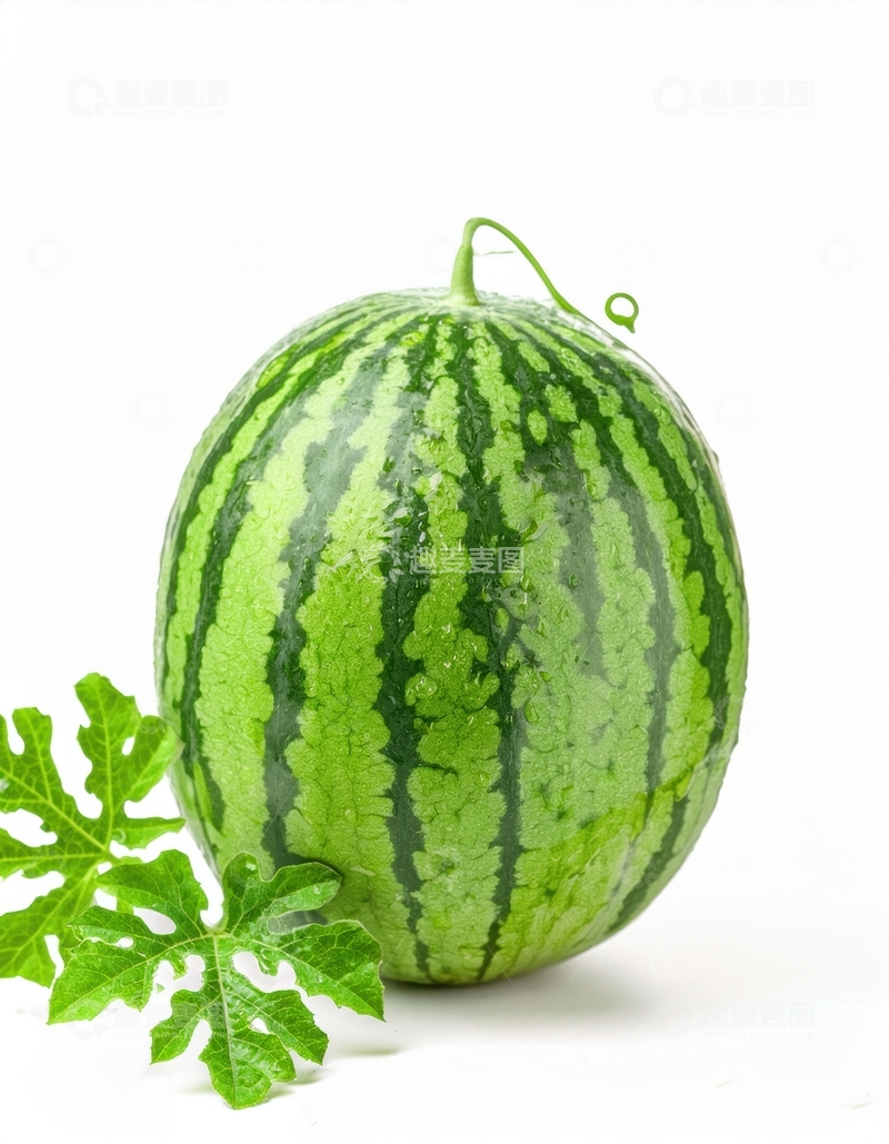 高清大图下载【趣麦麦图】带叶绿皮完整西瓜呈现