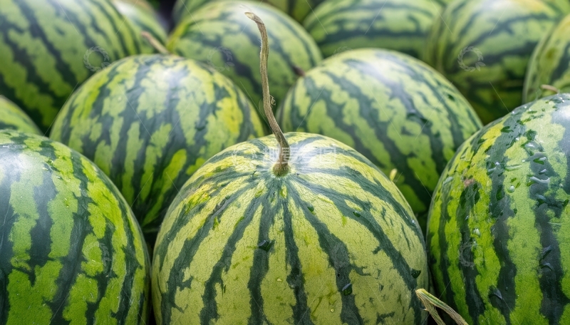 高清大图下载【趣麦麦图】绿皮条纹西瓜紧密排列