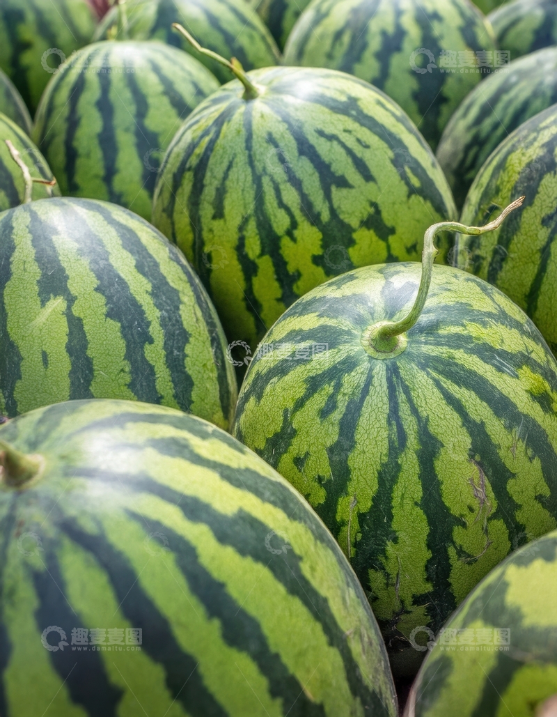 高清大图下载【趣麦麦图】一堆绿皮条纹的成熟西瓜