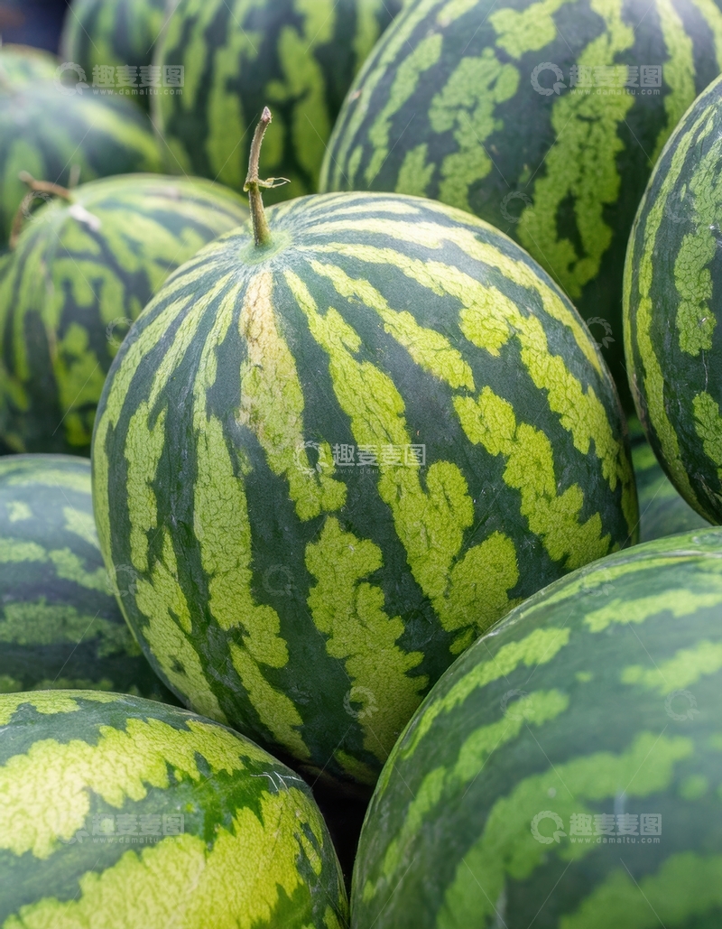 高清大图下载【趣麦麦图】堆叠的绿皮条纹新鲜西瓜