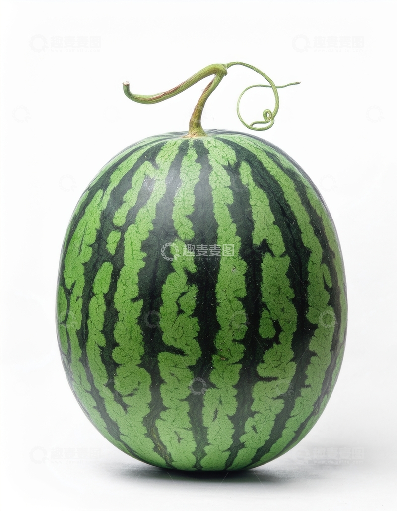 高清大图下载【趣麦麦图】完整绿皮条纹西瓜展示