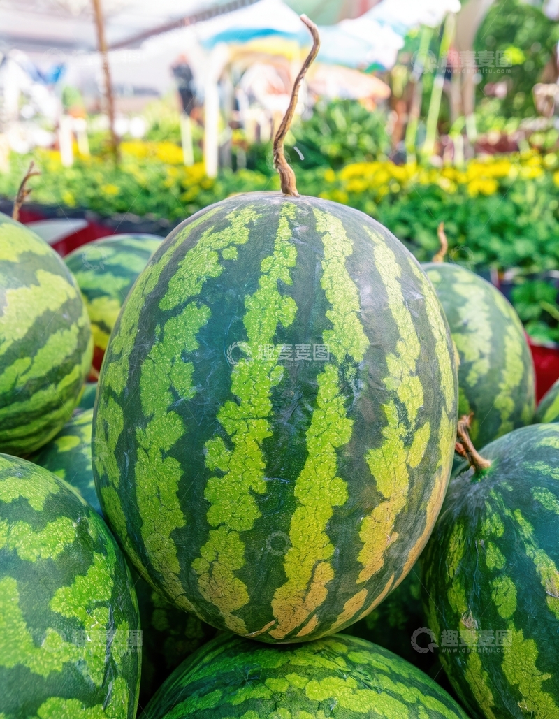 高清大图下载【趣麦麦图】堆叠的绿皮条纹成熟西瓜