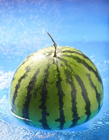 水中漂浮的绿皮条纹西瓜