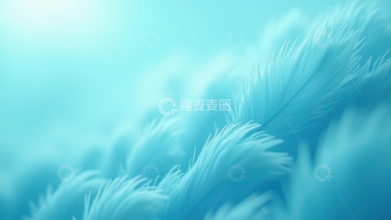 高清大图下载【趣麦麦图】浅蓝色羽毛特写