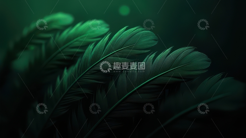 高清大图下载【趣麦麦图】深绿色羽毛群聚暗光下