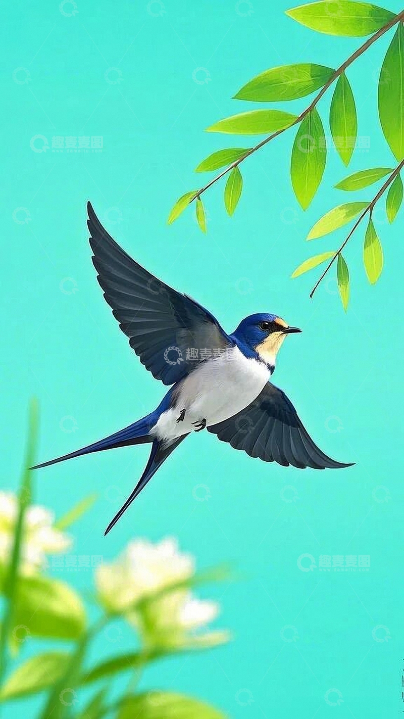 高清大图下载【趣麦麦图】春天的燕子4