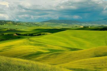 内蒙古大草原二