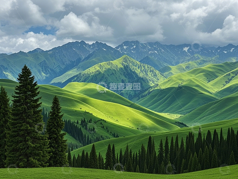 高清大图下载【趣麦麦图】远山的阳光近处的绿杉