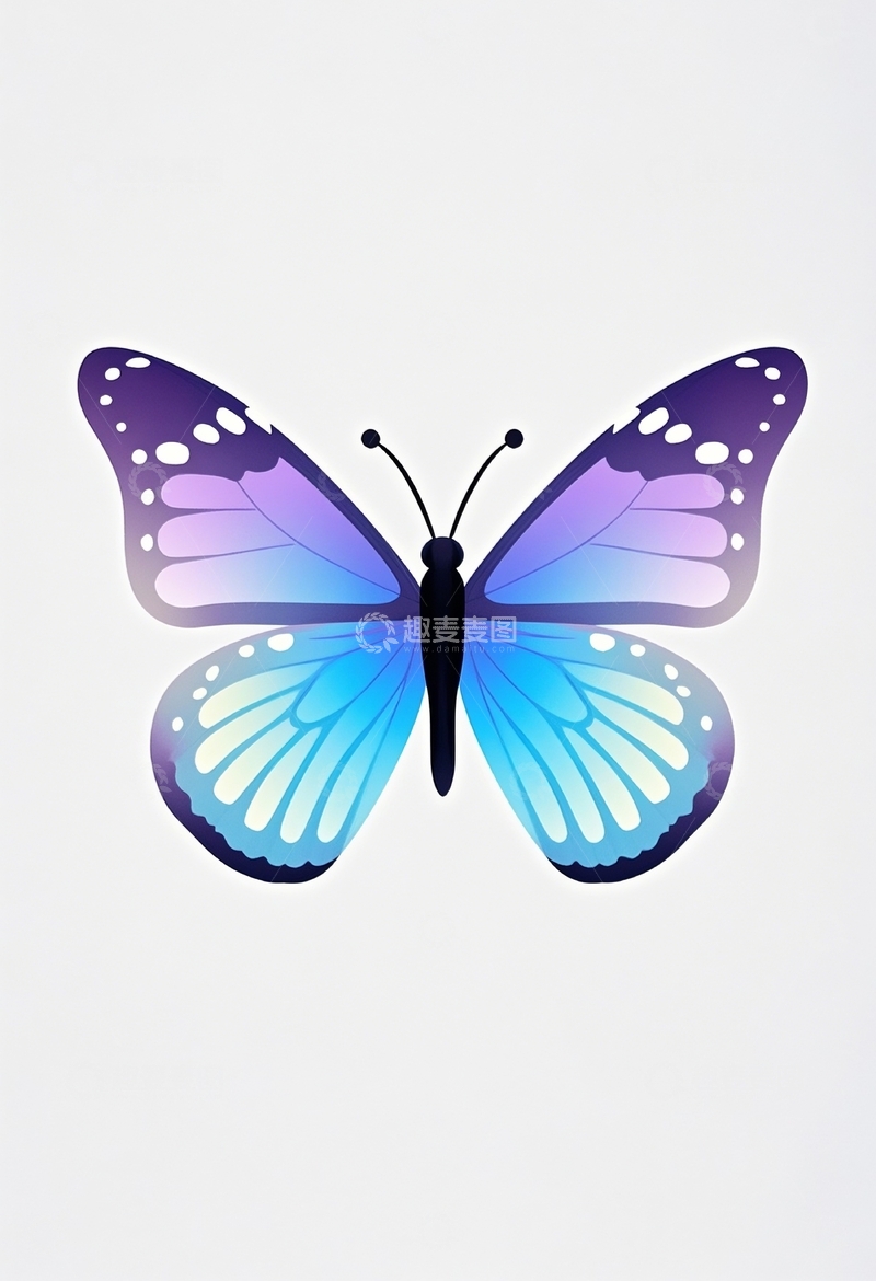 高清大图下载【趣麦麦图】五彩缤纷蝴蝶素材