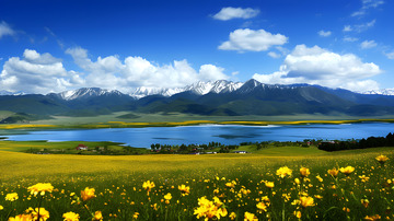 雪山下的平原 河流1