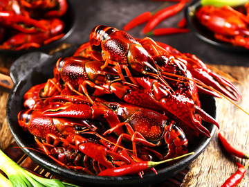 新鲜美味的龙虾美食摄影