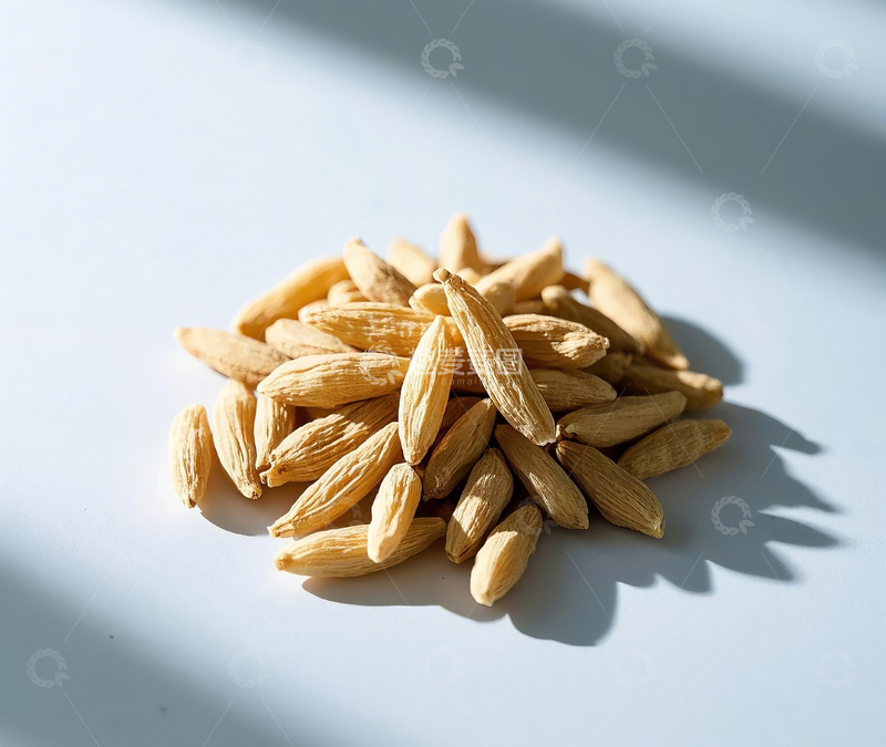 高清大图下载【趣麦麦图】传统中药麦冬