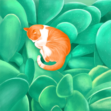 睡在仙人掌上的大黄猫咪