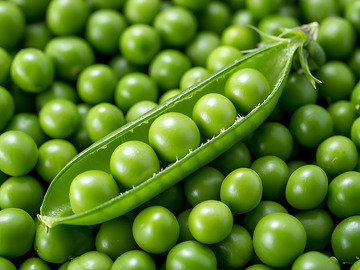 鲜嫩饱满的豌豆蔬菜摄影