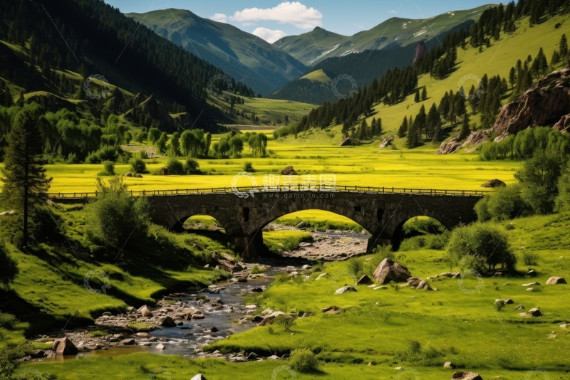 高清大图下载【趣麦麦图】森林树木自然美景