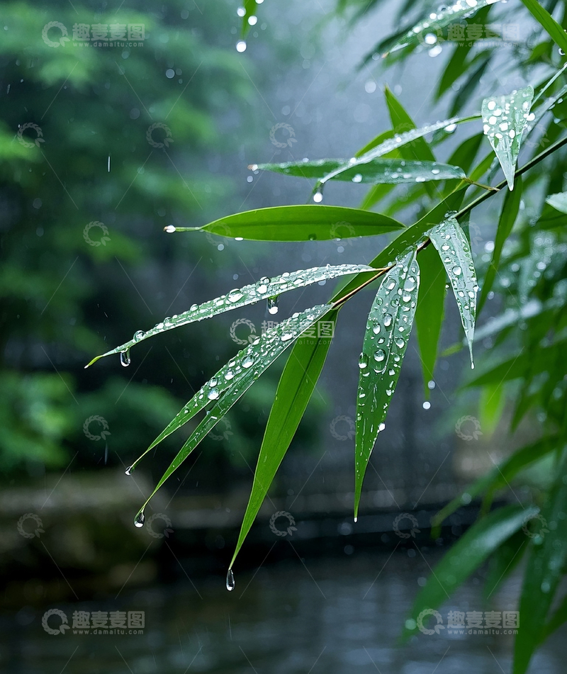 高清大图下载【趣麦麦图】竹叶2