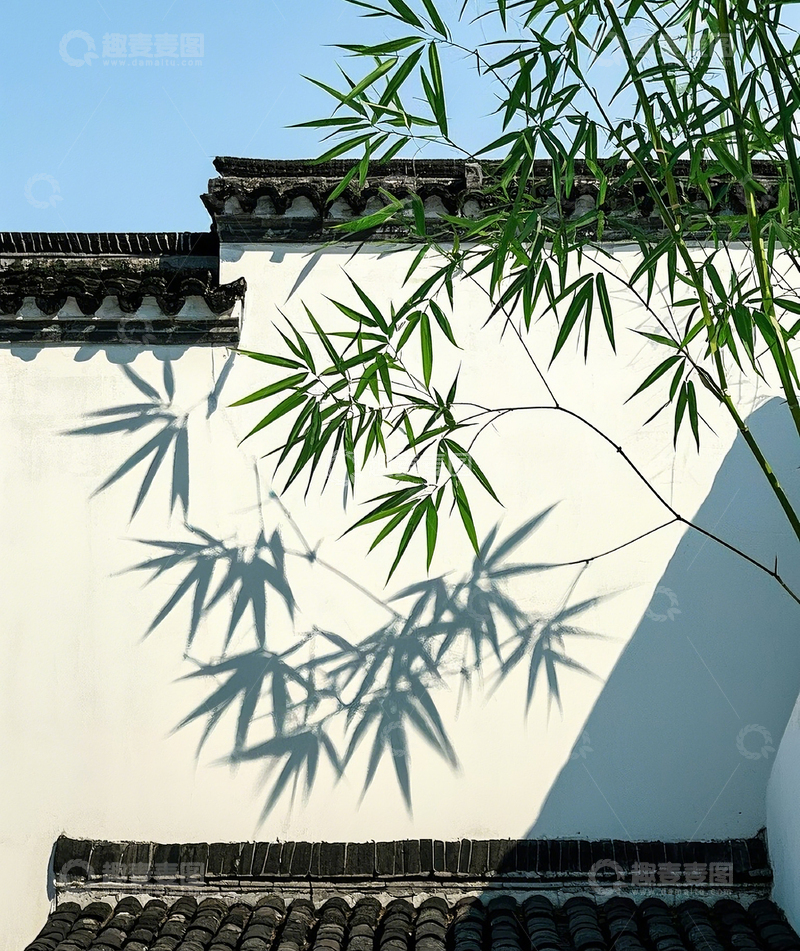 高清大图下载【趣麦麦图】竹叶