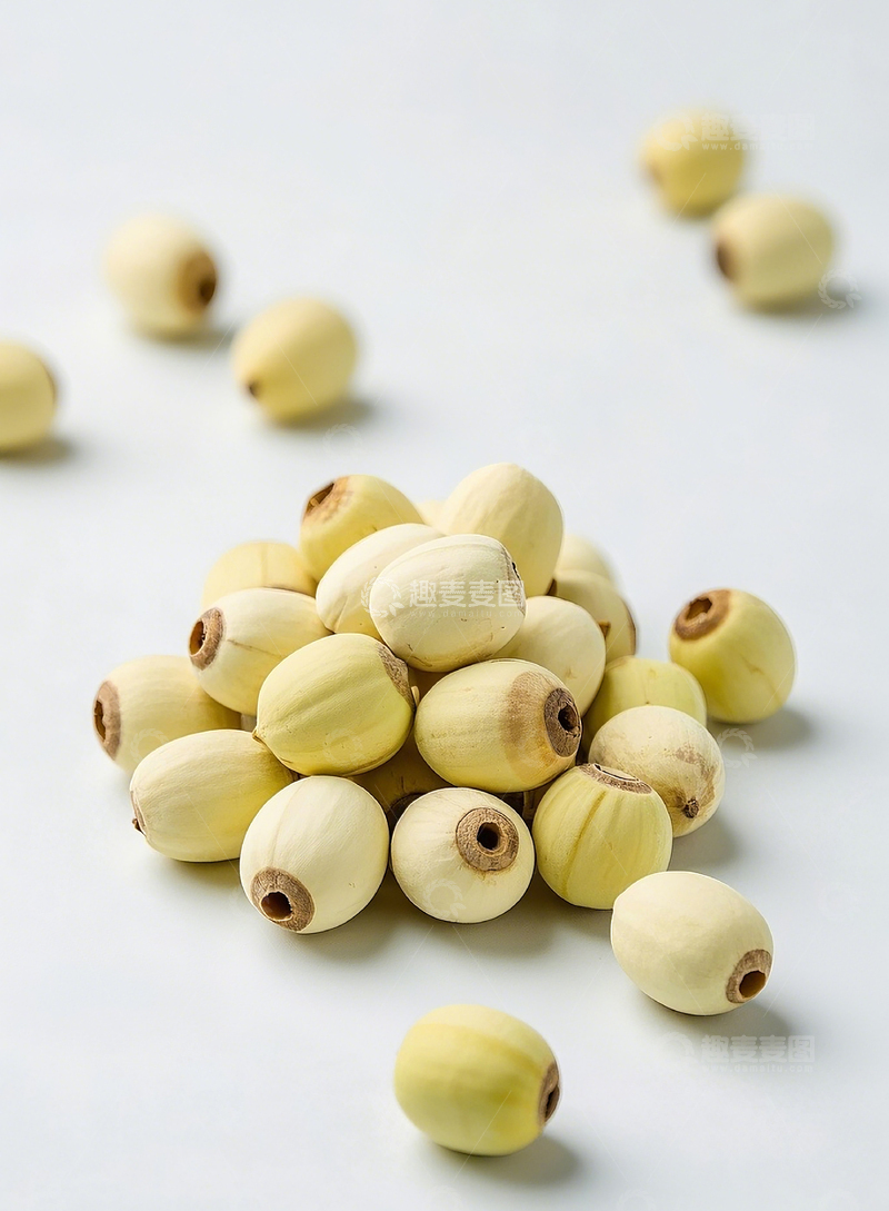 高清大图下载【趣麦麦图】莲子