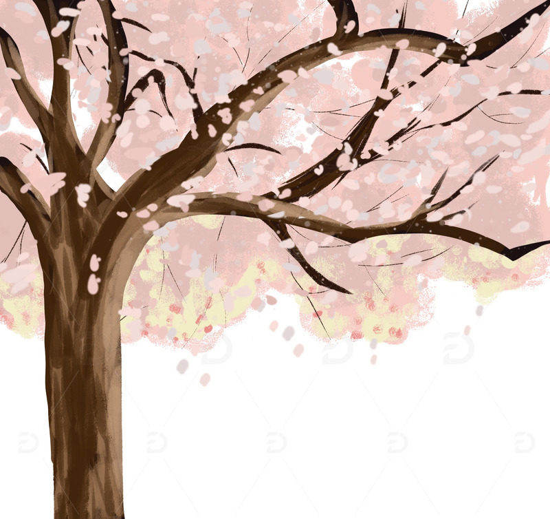 春日樱花树免抠图