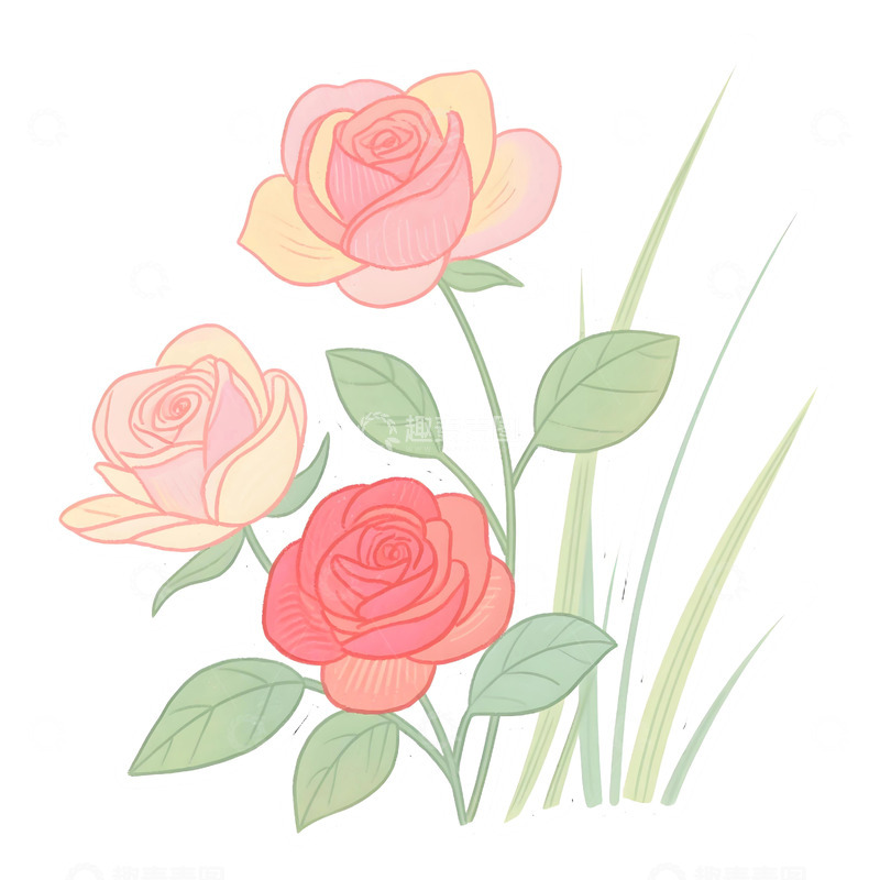 高清大图下载【趣麦麦图】花草插画免扣素材7