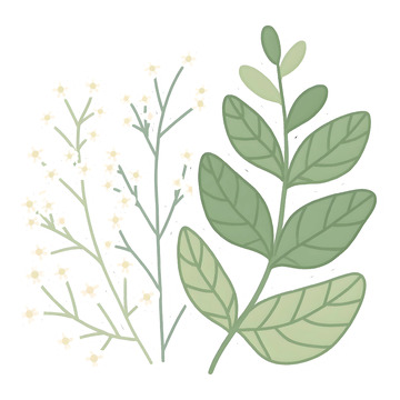 花草插画免扣素材1