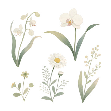 花草插画免扣素材