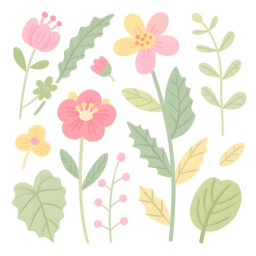 花草插画免扣素材6