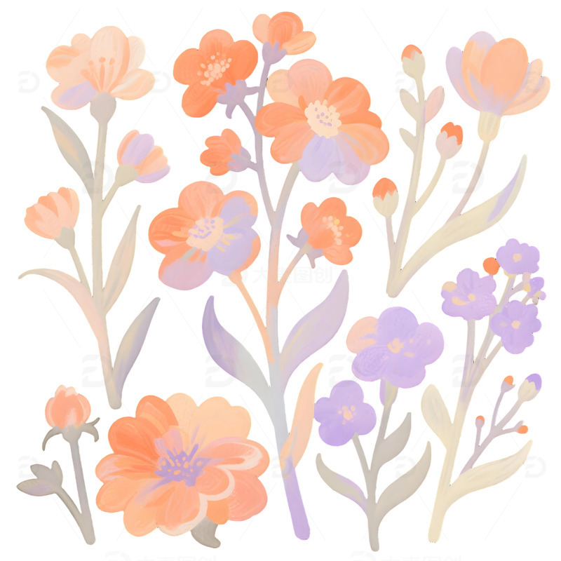 花草插画免扣素材9