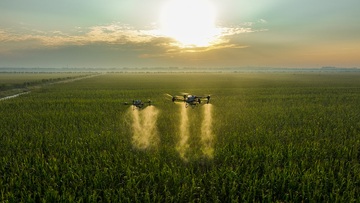 大型无人飞机在农田上空进行施药施肥作业（1）