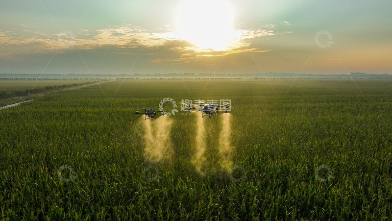 高清大图下载【趣麦麦图】大型无人飞机在农田上空进行施药施肥作业（1）