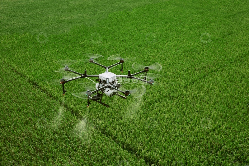 高清大图下载【趣麦麦图】大型无人飞机在农田上空进行施药施肥作业（6）