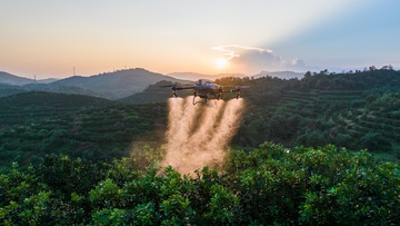 无人机在果园上空进行施药施肥作业1