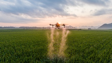 夕阳下无人机在玉米农田上空进行施药施肥作业