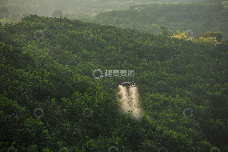 高清大图下载【趣麦麦图】无人机在果园上空进行施药施肥作业