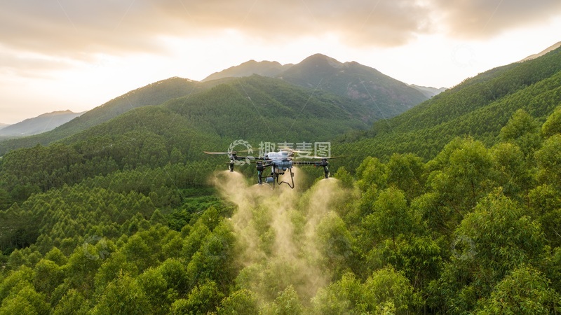 高清大图下载【趣麦麦图】无人机在果园上进行施肥施药喷洒作业
