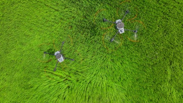 无人机在农田上进行施肥施药喷洒作业