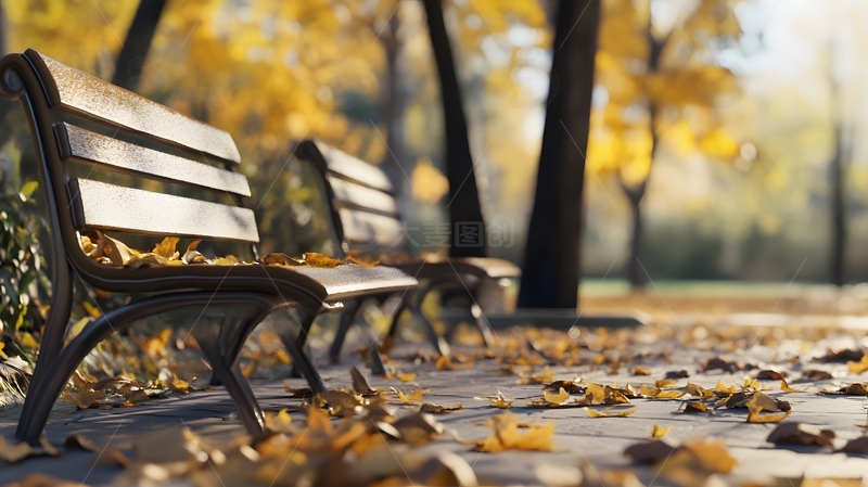 在秋天的公园长椅4