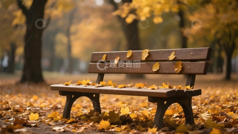 高清大图下载【趣麦麦图】在秋天的公园长椅2