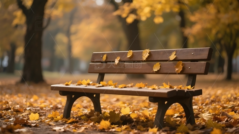 在秋天的公园长椅2