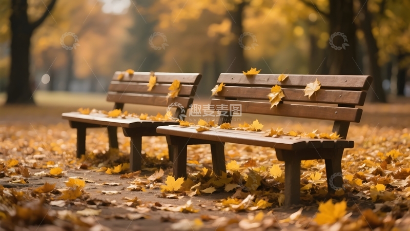 高清大图下载【趣麦麦图】在秋天的公园长椅