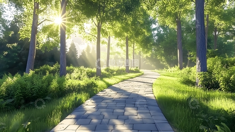 高清大图下载【趣麦麦图】阳光照耀下的林间步道景象